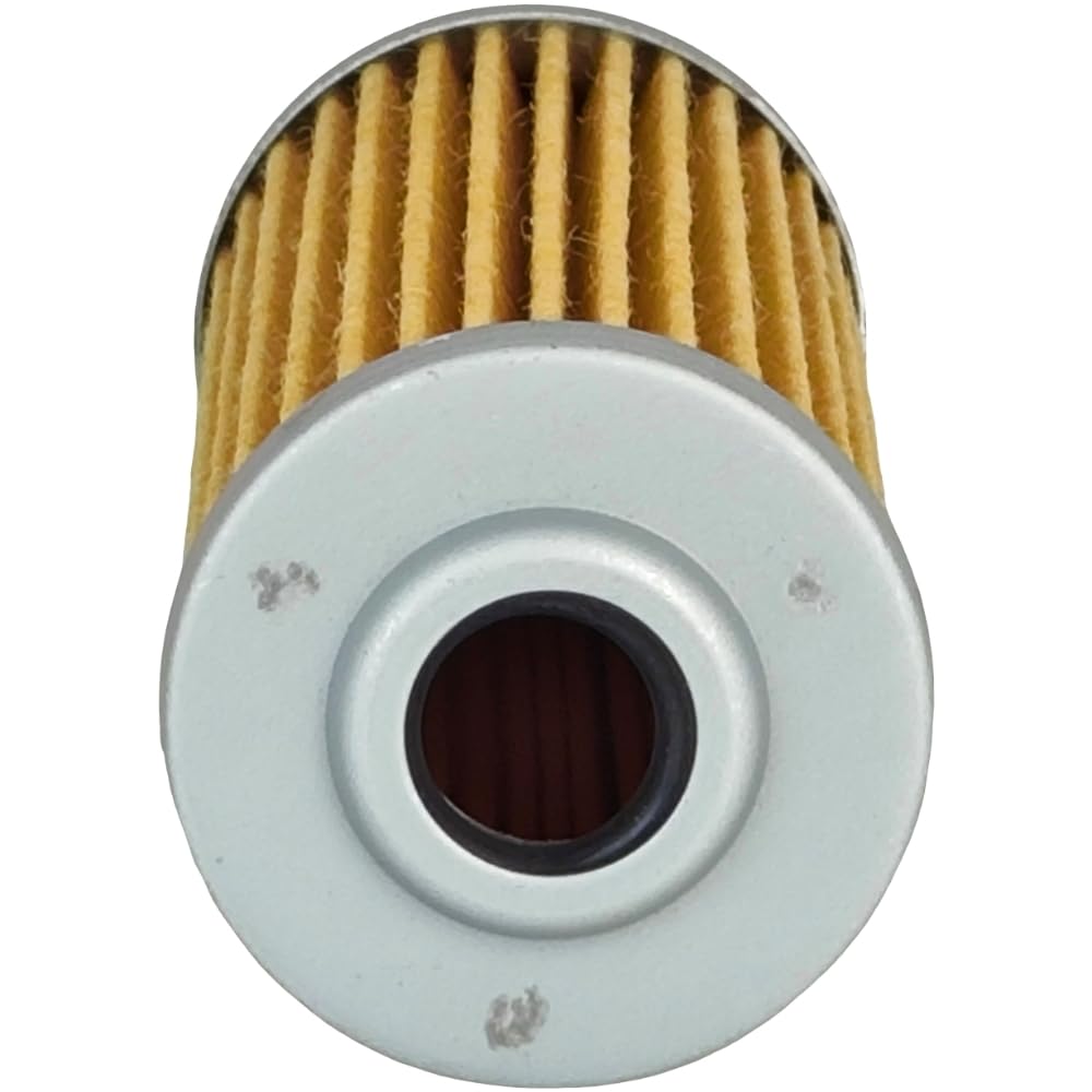 Amazon.com: XYZIL 2X Fuel Filter MIU804763 M801101 CH10479